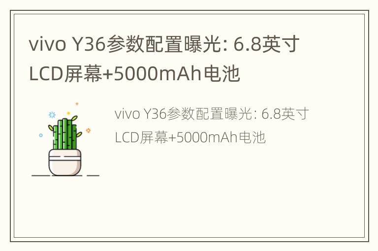 vivo Y36参数配置曝光：6.8英寸LCD屏幕+5000mAh电池