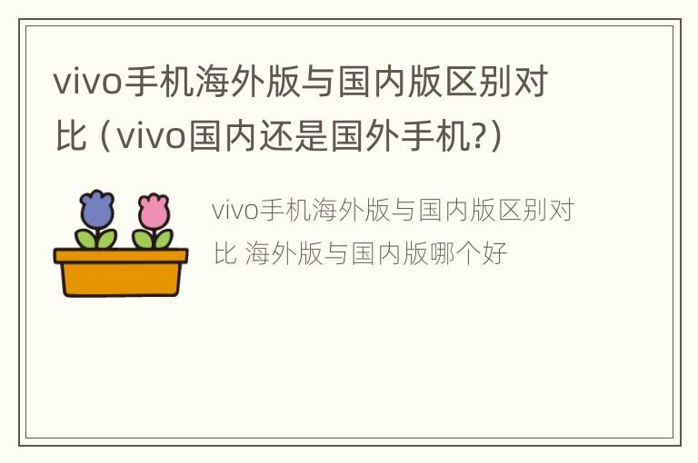 vivo手机海外版与国内版区别对比（vivo国内还是国外手机?）