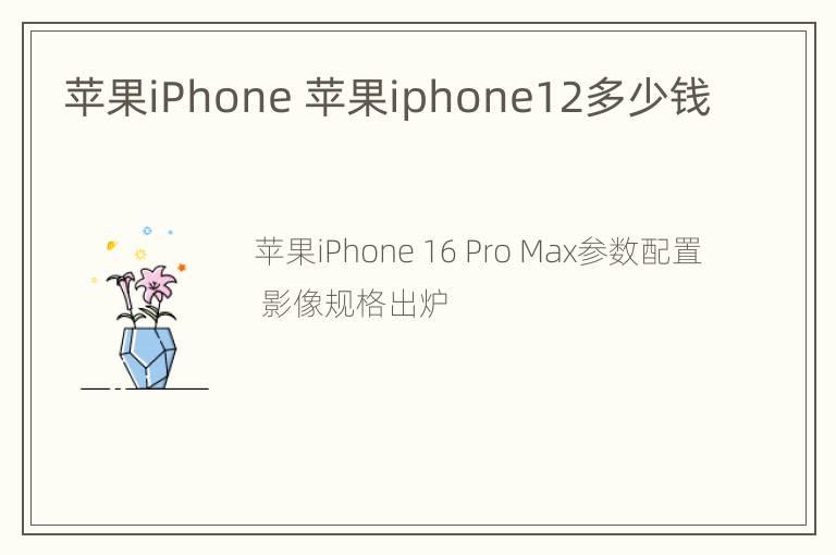 苹果iPhone 苹果iphone12多少钱