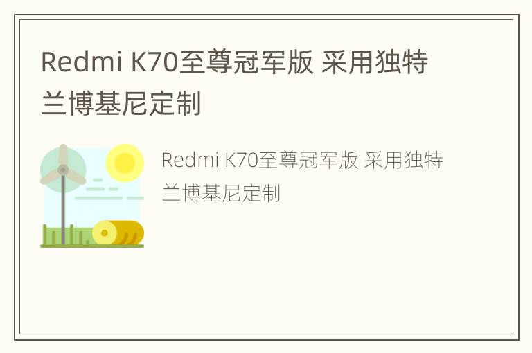 Redmi K70至尊冠军版 采用独特兰博基尼定制