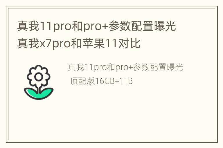 真我11pro和pro+参数配置曝光 真我x7pro和苹果11对比