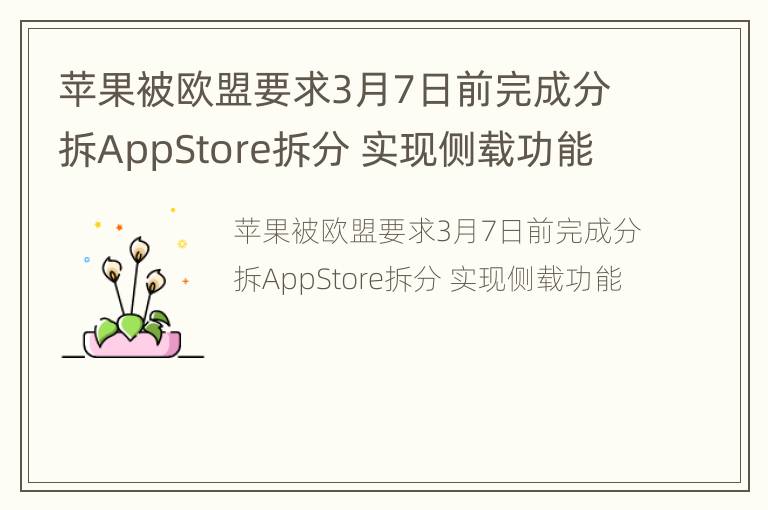 苹果被欧盟要求3月7日前完成分拆AppStore拆分 实现侧载功能