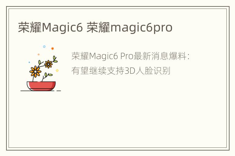 荣耀Magic6 荣耀magic6pro