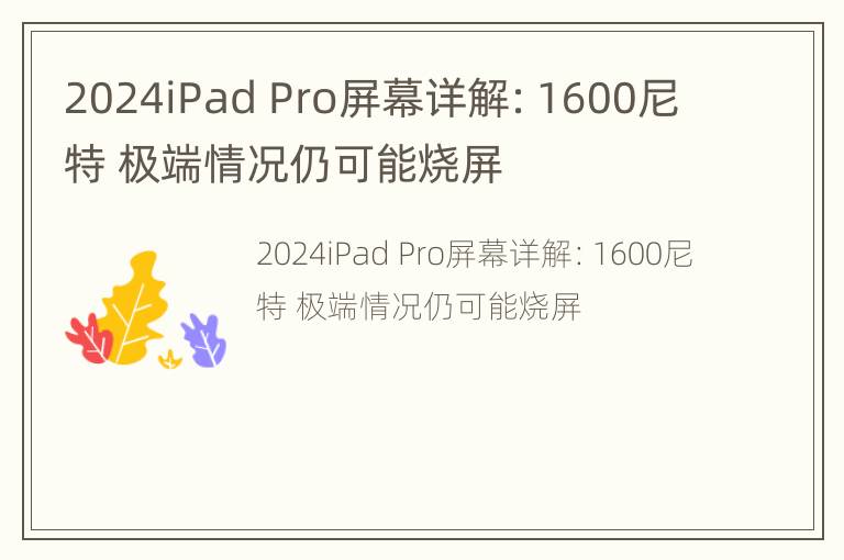 2024iPad Pro屏幕详解：1600尼特 极端情况仍可能烧屏