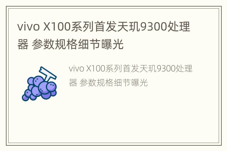 vivo X100系列首发天玑9300处理器 参数规格细节曝光