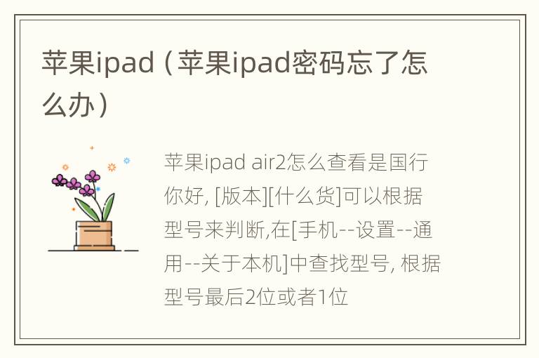 苹果ipad（苹果ipad密码忘了怎么办）