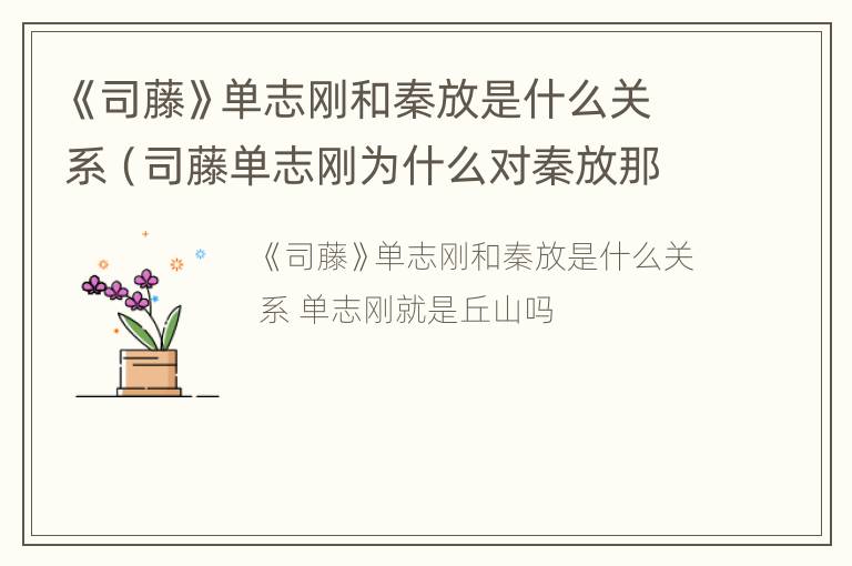 《司藤》单志刚和秦放是什么关系（司藤单志刚为什么对秦放那么好）