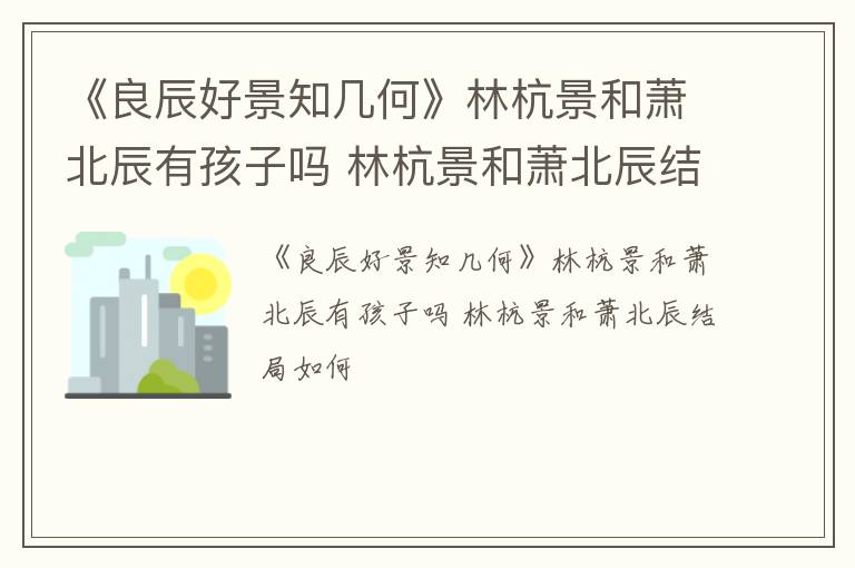 《良辰好景知几何》林杭景和萧北辰有孩子吗 林杭景和萧北辰结局如何