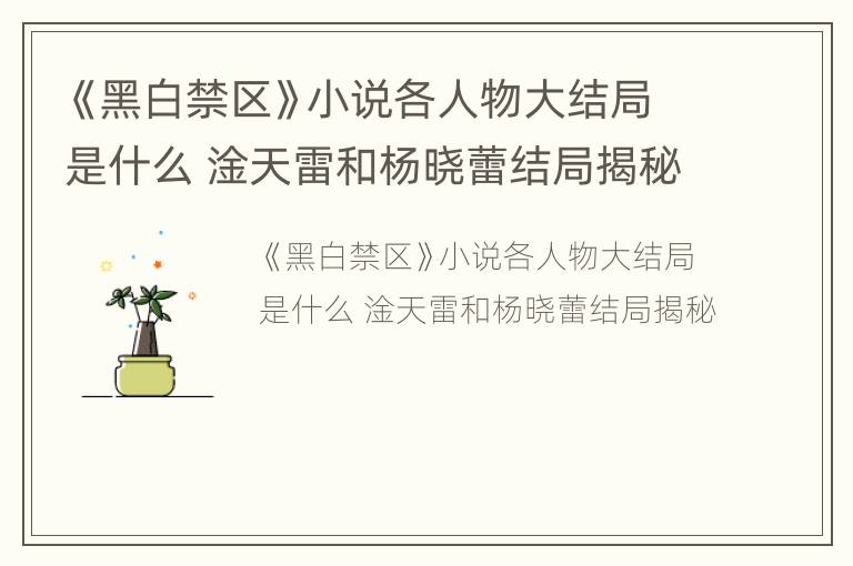 《黑白禁区》小说各人物大结局是什么 淦天雷和杨晓蕾结局揭秘