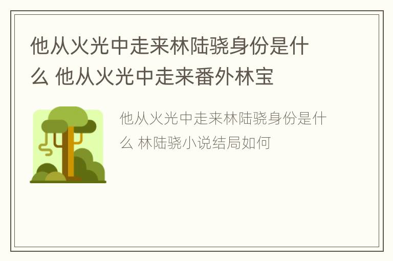 他从火光中走来林陆骁身份是什么 他从火光中走来番外林宝