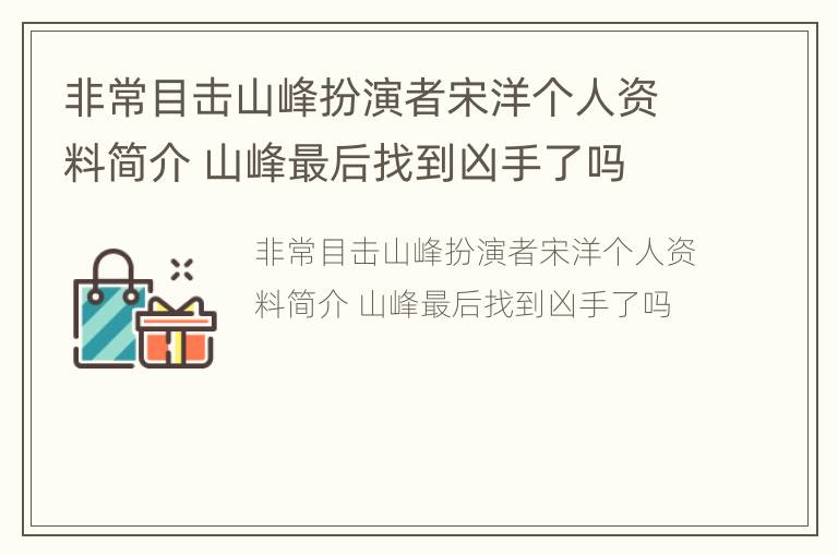 非常目击山峰扮演者宋洋个人资料简介 山峰最后找到凶手了吗