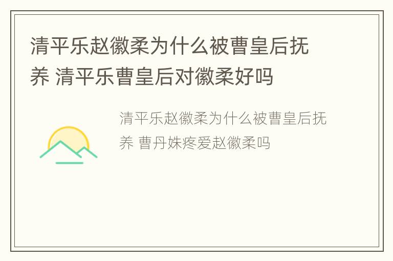 清平乐赵徽柔为什么被曹皇后抚养 清平乐曹皇后对徽柔好吗