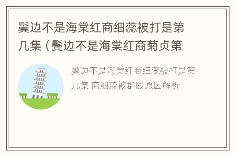 鬓边不是海棠红商细蕊被打是第几集（鬓边不是海棠红商菊贞第几集）