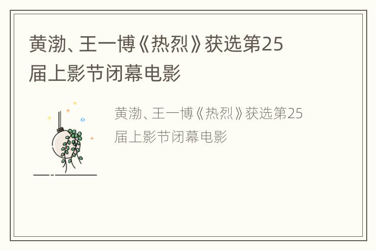 黄渤、王一博《热烈》获选第25届上影节闭幕电影