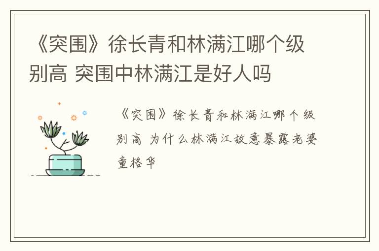 《突围》徐长青和林满江哪个级别高 突围中林满江是好人吗