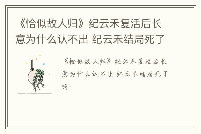 《恰似故人归》纪云禾复活后长意为什么认不出 纪云禾结局死了吗