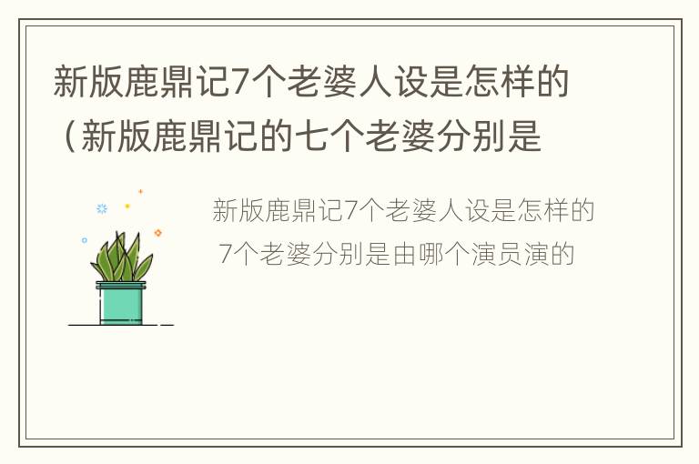 新版鹿鼎记7个老婆人设是怎样的（新版鹿鼎记的七个老婆分别是谁?）