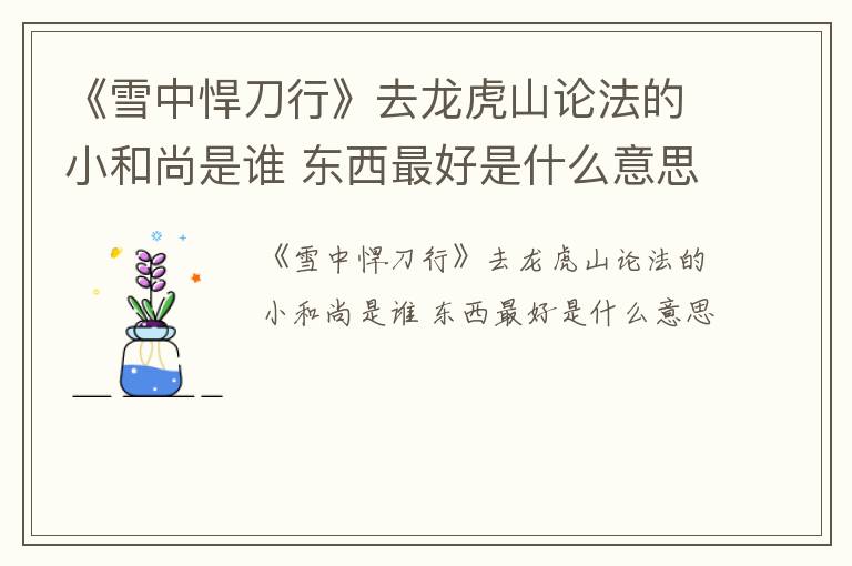 《雪中悍刀行》去龙虎山论法的小和尚是谁 东西最好是什么意思