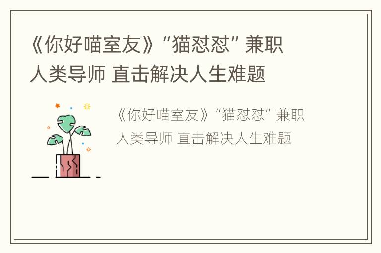 《你好喵室友》“猫怼怼”兼职人类导师 直击解决人生难题