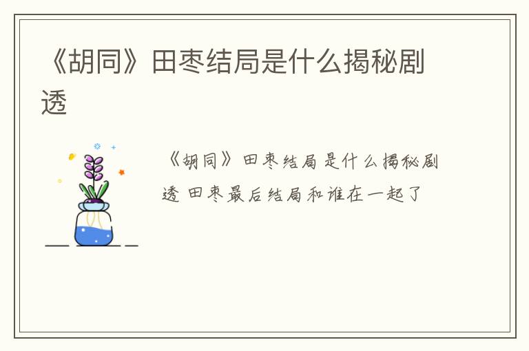 《胡同》田枣结局是什么揭秘剧透