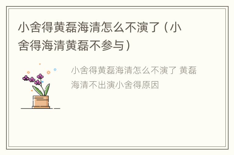 小舍得黄磊海清怎么不演了（小舍得海清黄磊不参与）