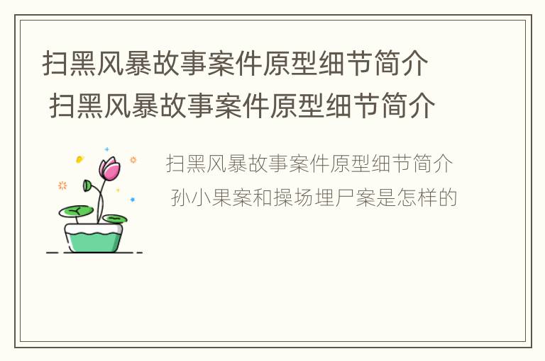 扫黑风暴故事案件原型细节简介 扫黑风暴故事案件原型细节简介内容