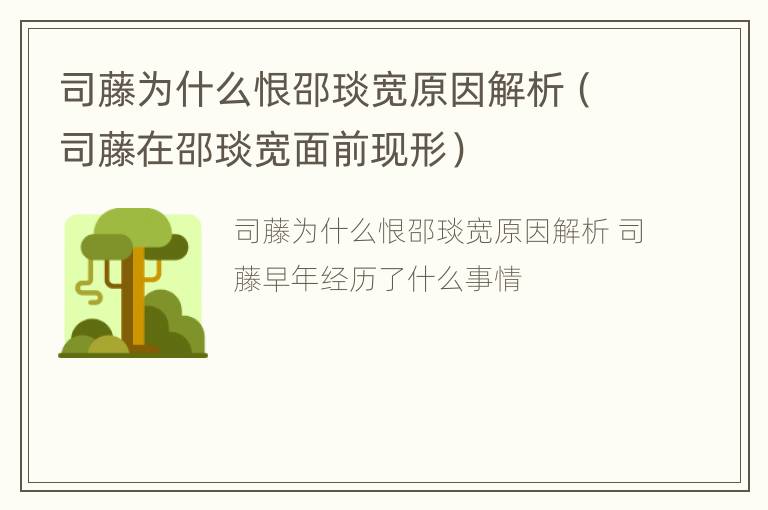 司藤为什么恨邵琰宽原因解析（司藤在邵琰宽面前现形）