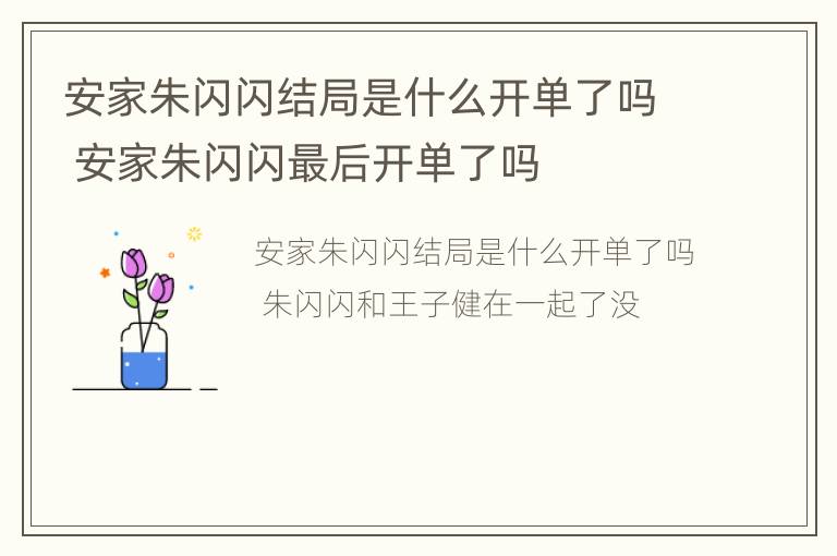 安家朱闪闪结局是什么开单了吗 安家朱闪闪最后开单了吗