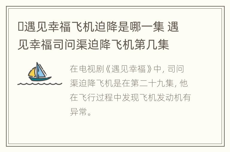 ​遇见幸福飞机迫降是哪一集 遇见幸福司问渠迫降飞机第几集