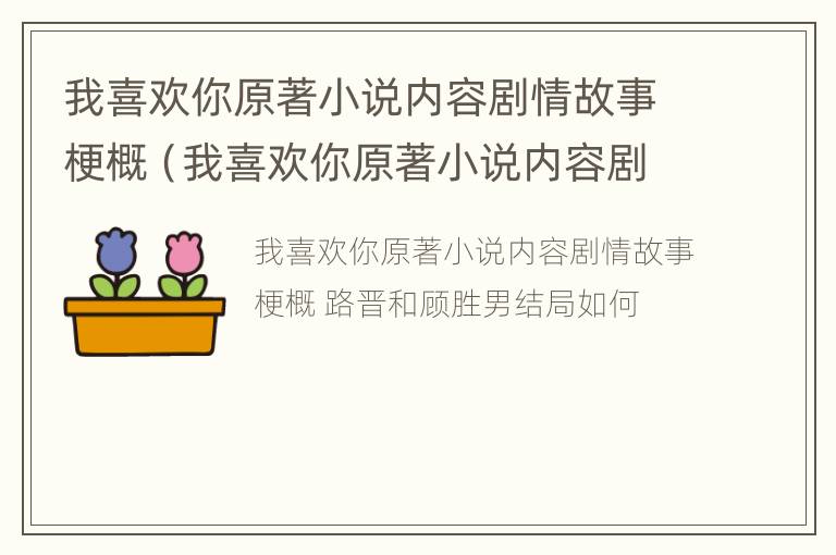 我喜欢你原著小说内容剧情故事梗概（我喜欢你原著小说内容剧情故事梗概怎么写）