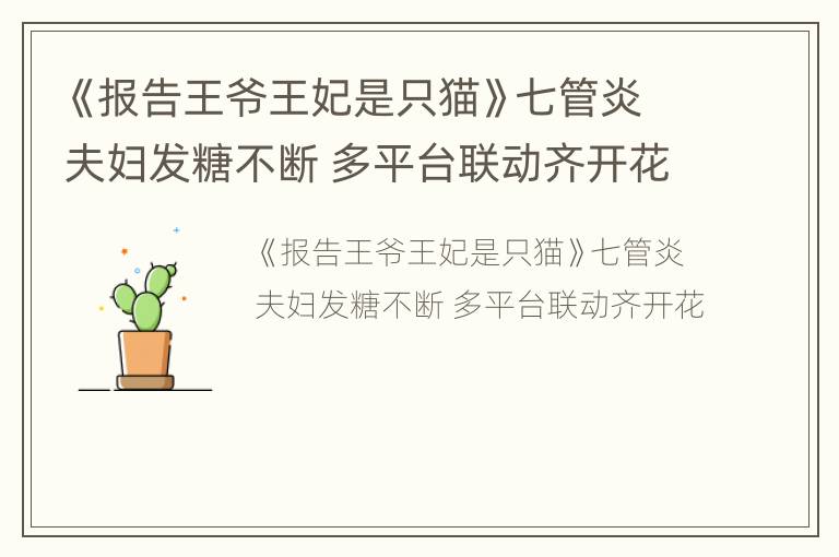 《报告王爷王妃是只猫》七管炎夫妇发糖不断 多平台联动齐开花