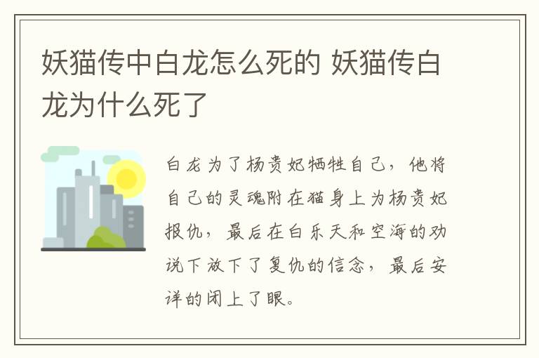 妖猫传中白龙怎么死的 妖猫传白龙为什么死了