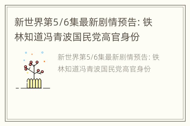 新世界第5/6集最新剧情预告：铁林知道冯青波国民党高官身份