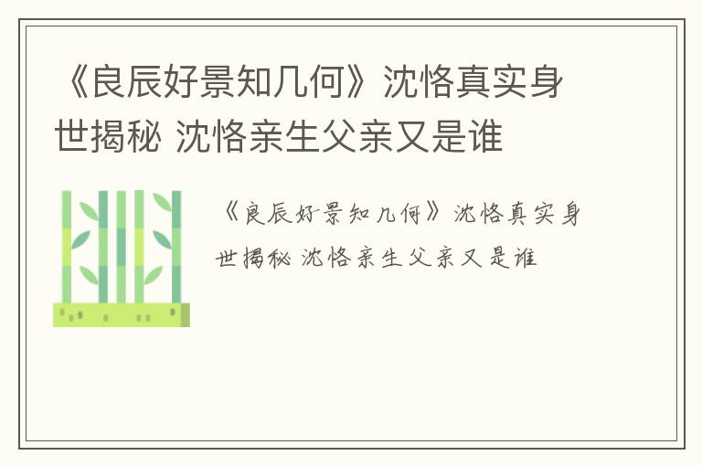 《良辰好景知几何》沈恪真实身世揭秘 沈恪亲生父亲又是谁