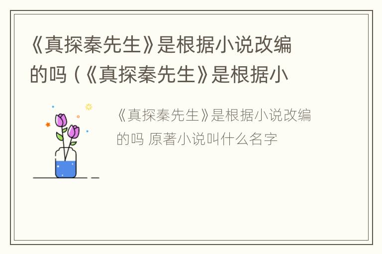 《真探秦先生》是根据小说改编的吗（《真探秦先生》是根据小说改编的吗为什么）