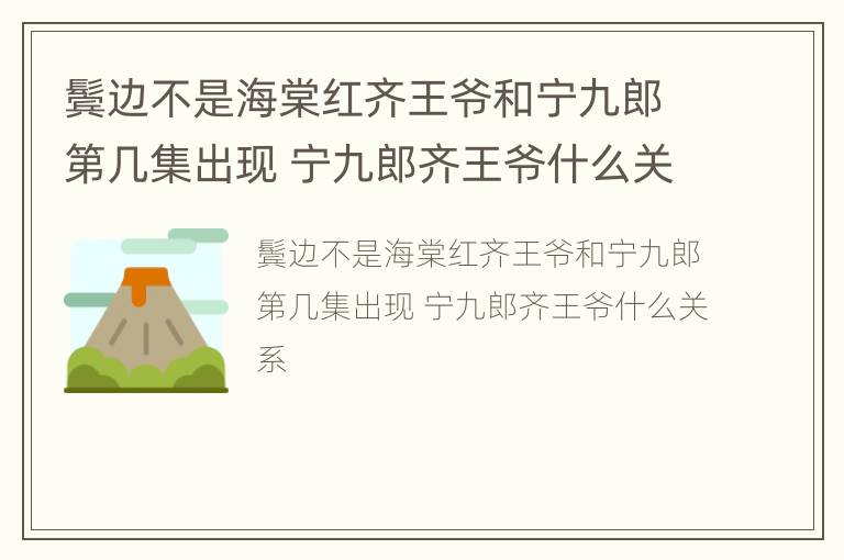 鬓边不是海棠红齐王爷和宁九郎第几集出现 宁九郎齐王爷什么关系