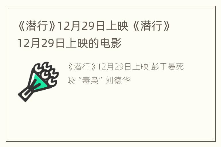 《潜行》12月29日上映 《潜行》12月29日上映的电影