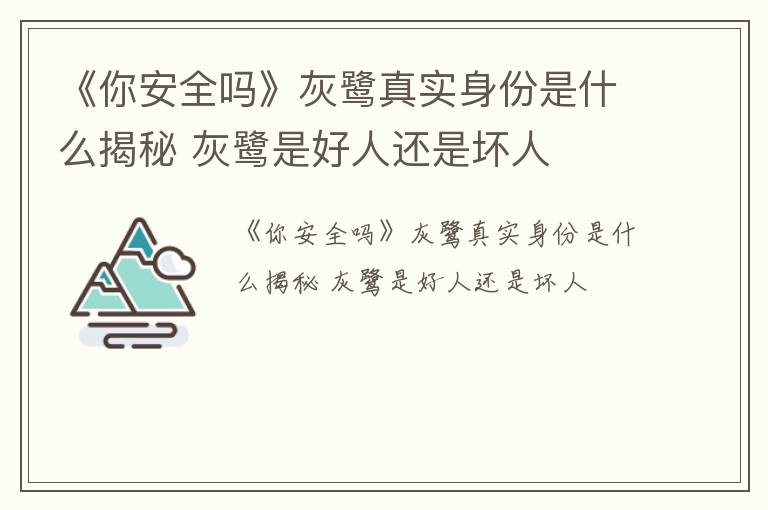 《你安全吗》灰鹭真实身份是什么揭秘 灰鹭是好人还是坏人