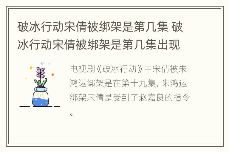 破冰行动宋倩被绑架是第几集 破冰行动宋倩被绑架是第几集出现的