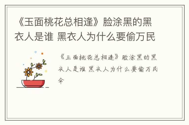 《玉面桃花总相逢》脸涂黑的黑衣人是谁 黑衣人为什么要偷万民伞