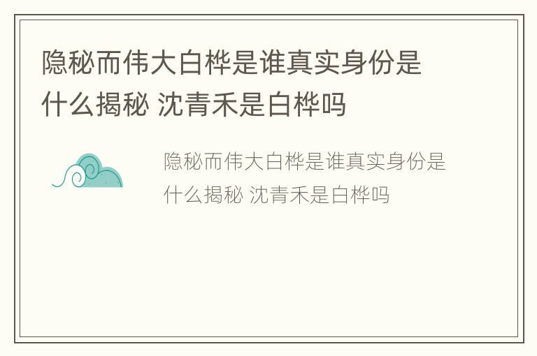 隐秘而伟大白桦是谁真实身份是什么揭秘 沈青禾是白桦吗