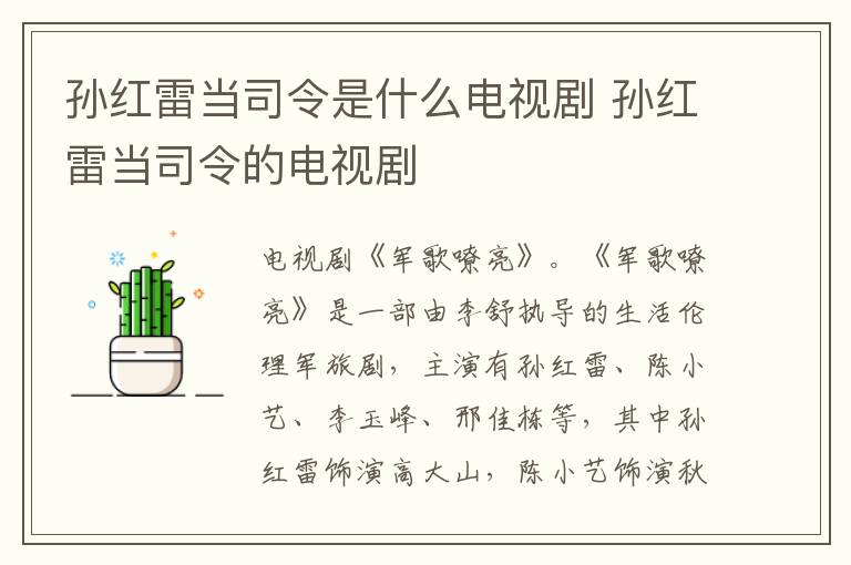 孙红雷当司令是什么电视剧 孙红雷当司令的电视剧