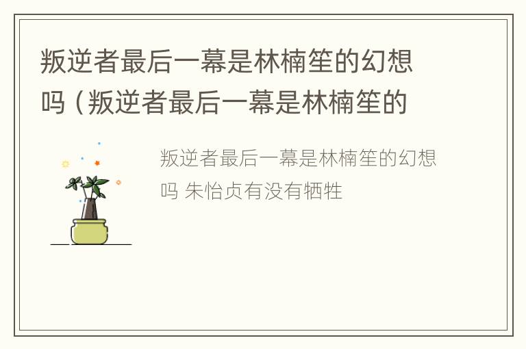 叛逆者最后一幕是林楠笙的幻想吗（叛逆者最后一幕是林楠笙的幻想吗是真的吗）