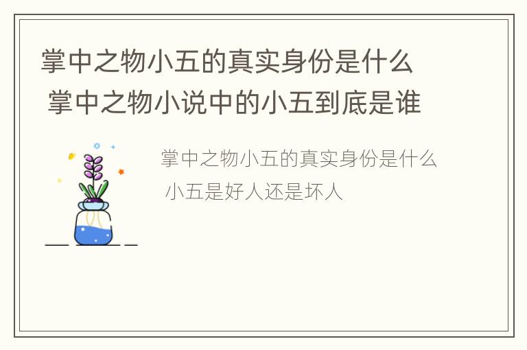 掌中之物小五的真实身份是什么 掌中之物小说中的小五到底是谁