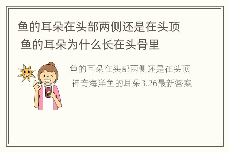 鱼的耳朵在头部两侧还是在头顶 鱼的耳朵为什么长在头骨里