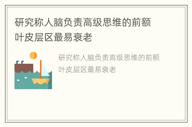 研究称人脑负责高级思维的前额叶皮层区最易衰老