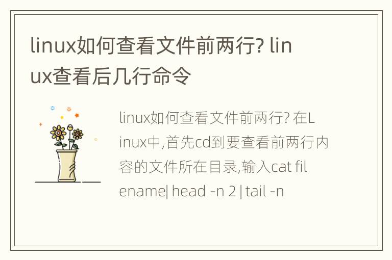 linux如何查看文件前两行? linux查看后几行命令