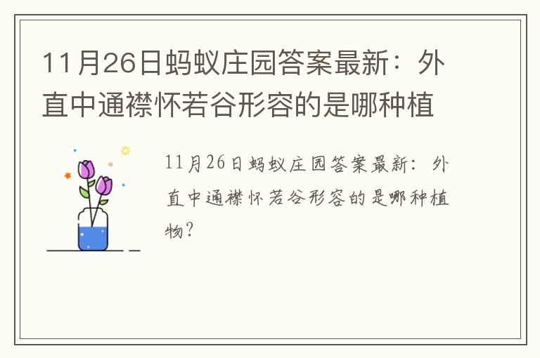 11月26日蚂蚁庄园答案最新：外直中通襟怀若谷形容的是哪种植物？