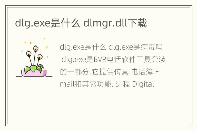 dlg.exe是什么 dlmgr.dll下载