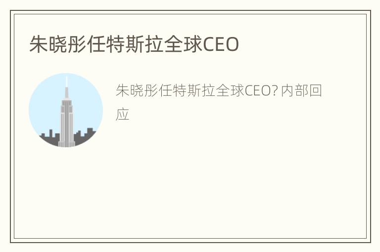 朱晓彤任特斯拉全球CEO